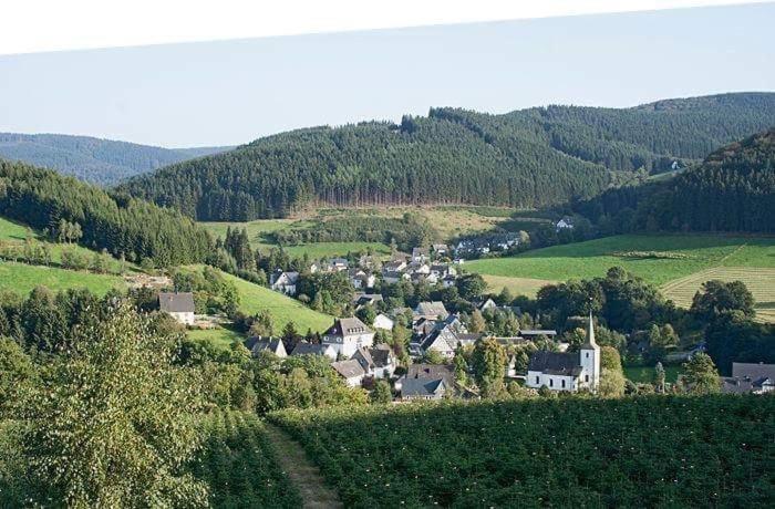 Pension Alois Hennecke Schmallenberg Exteriér fotografie