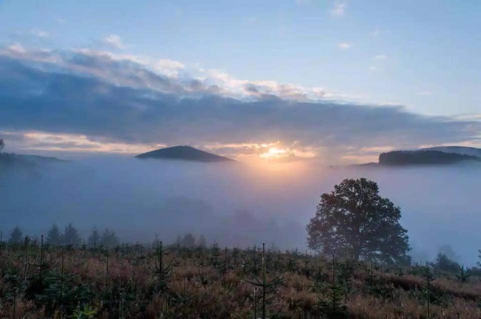 Pension Alois Hennecke Schmallenberg Exteriér fotografie